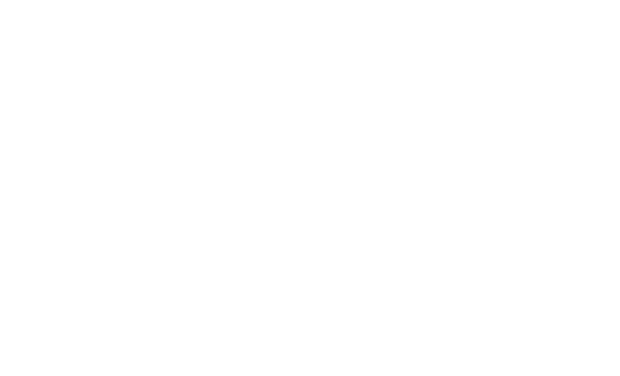 Black Mesa Payments